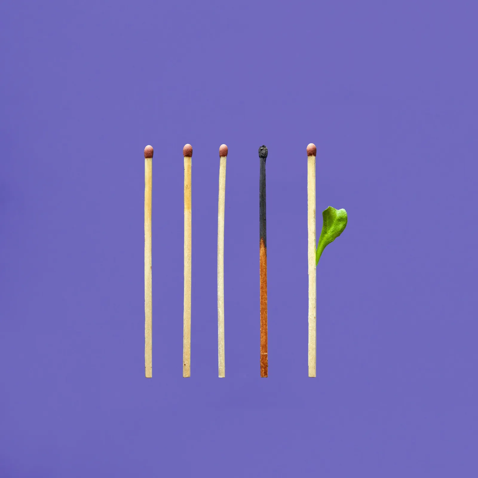 Real Answer to Procurement Burnout